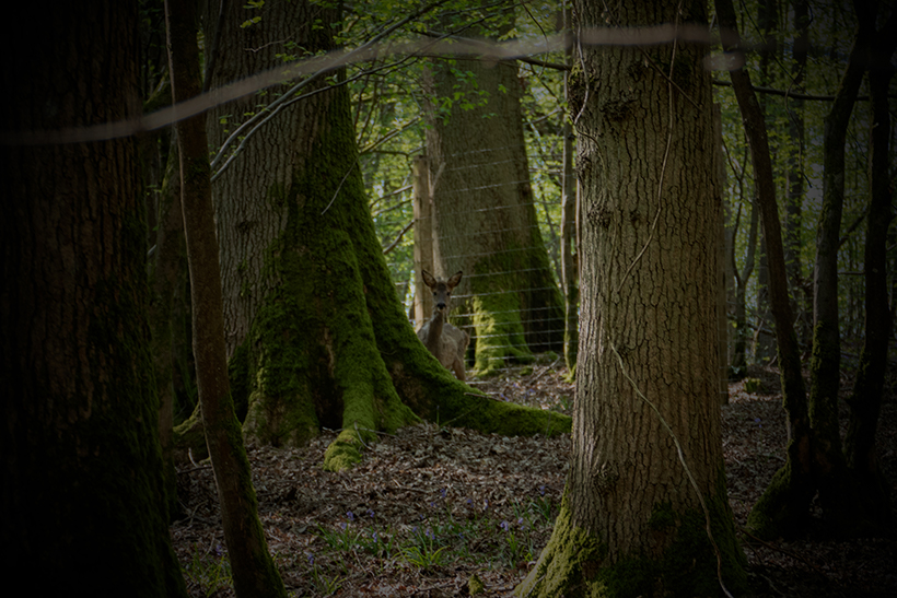 Photographie