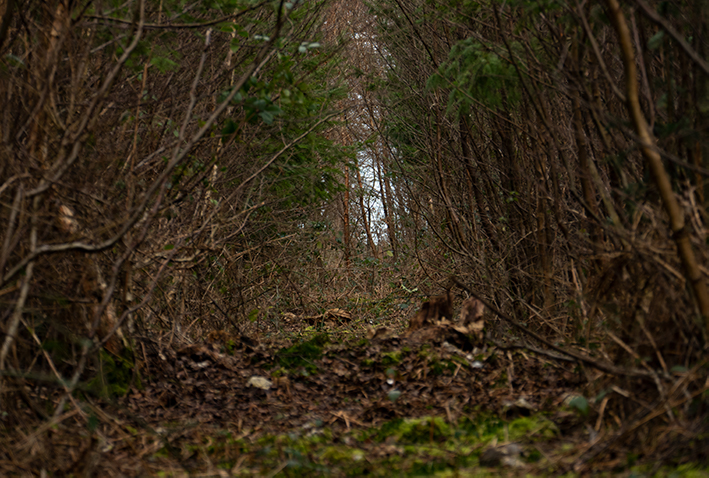 Photographie