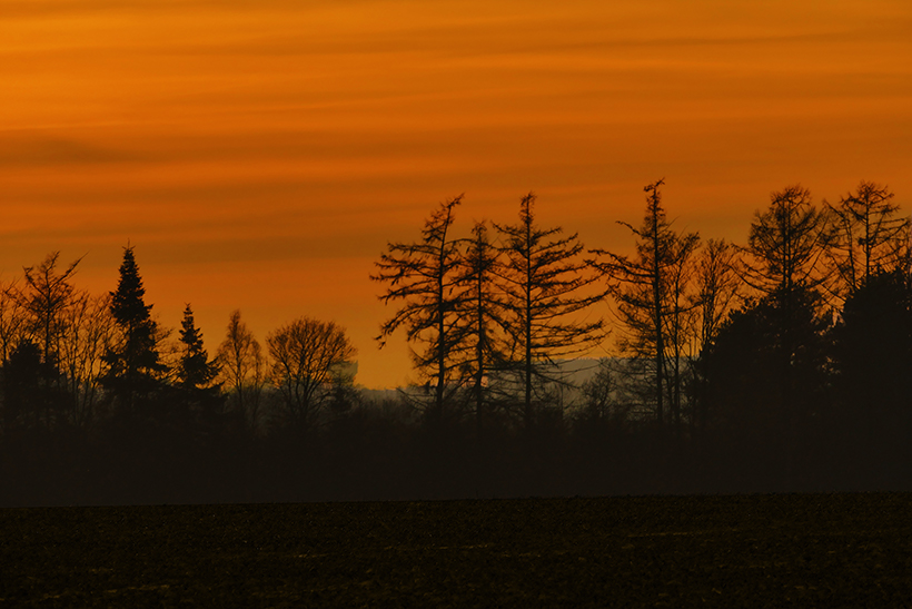 Photographie
