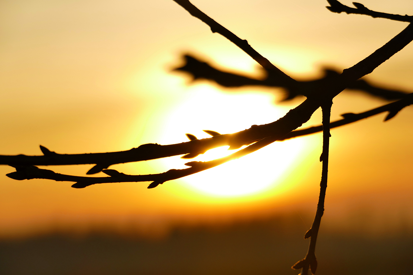 Photographie